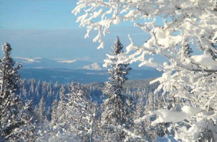 435 Vinter